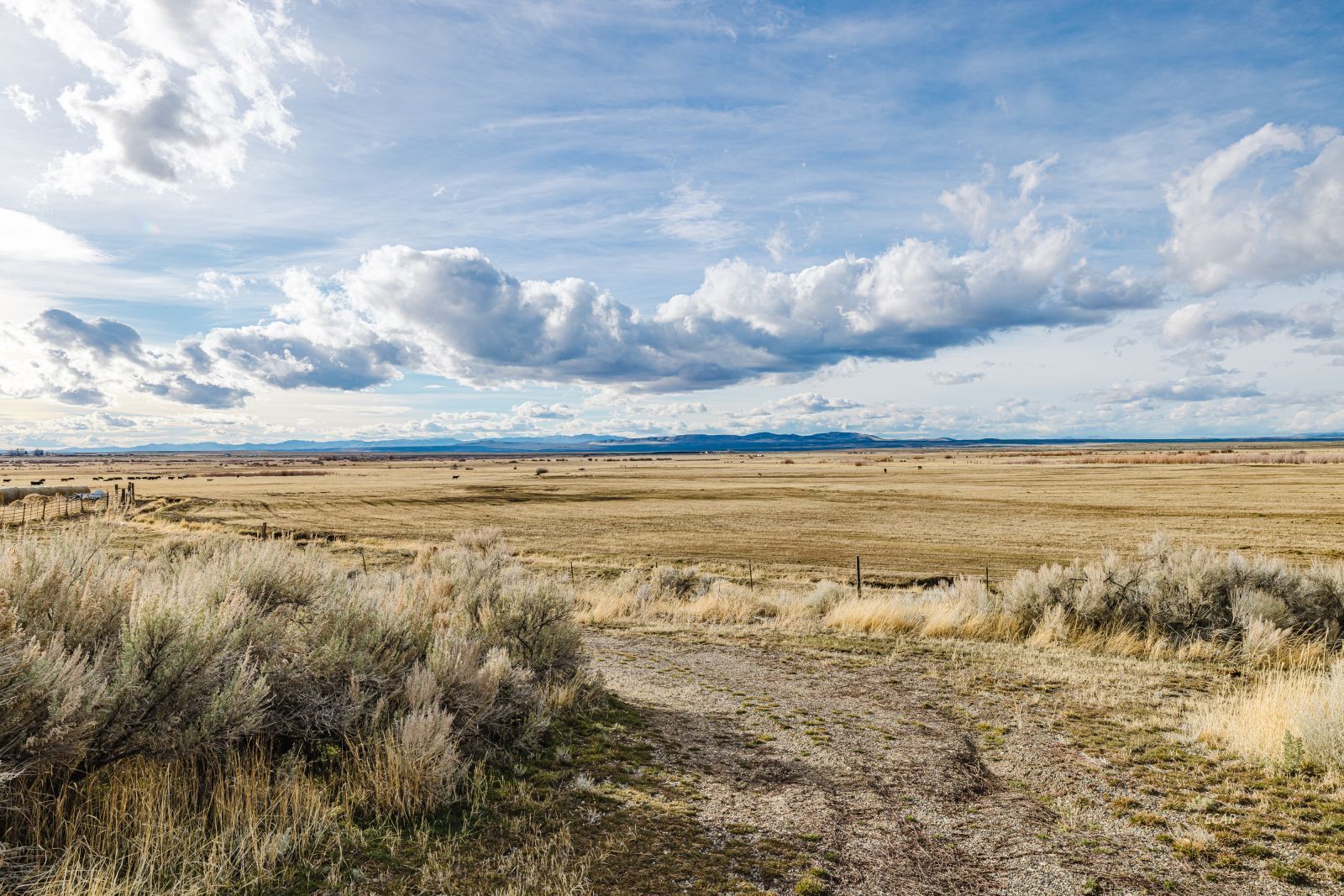 1171 Upper Starr Valley Road Property Photo 45