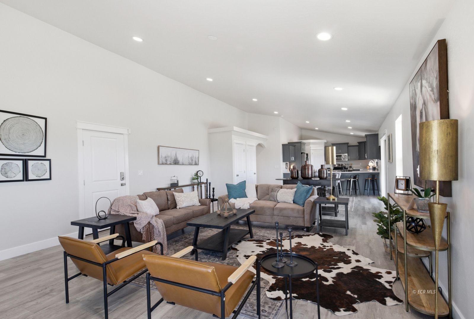 873 Lovelock Street Property Photo 4