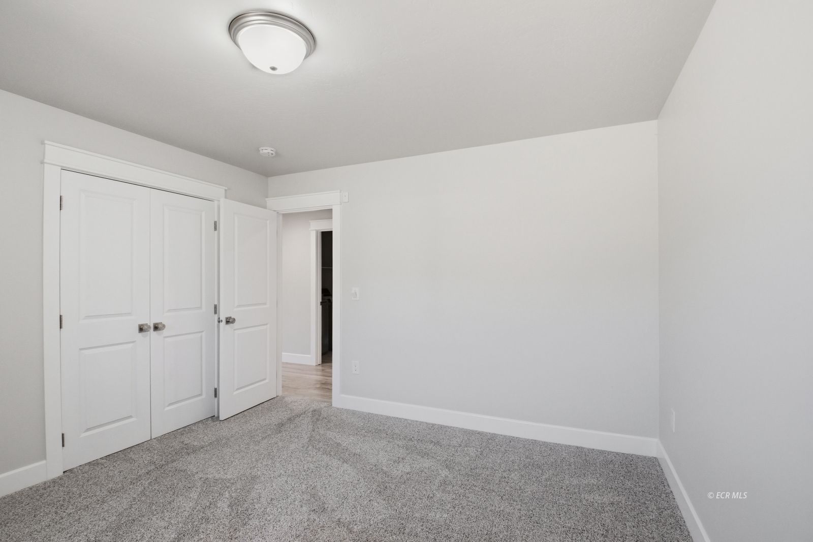873 Lovelock Street Property Photo 24