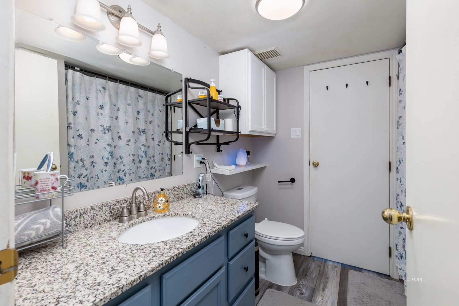 878 Palace Parkway Property Photo 16