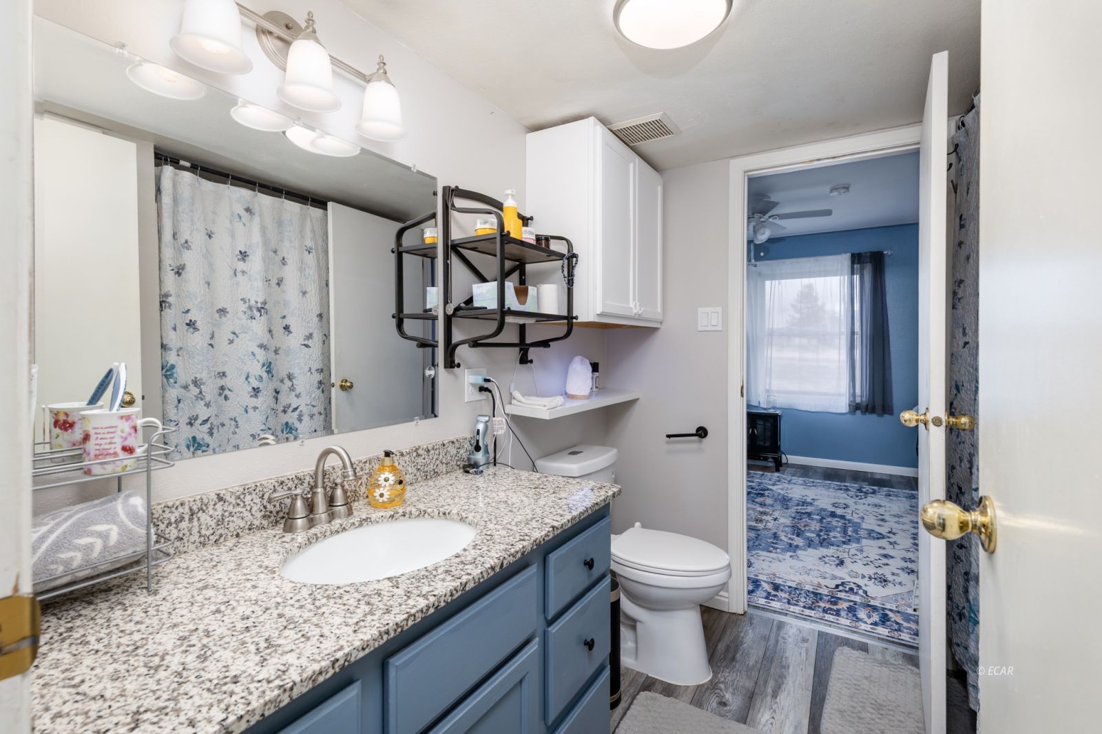 878 Palace Parkway Property Photo 17