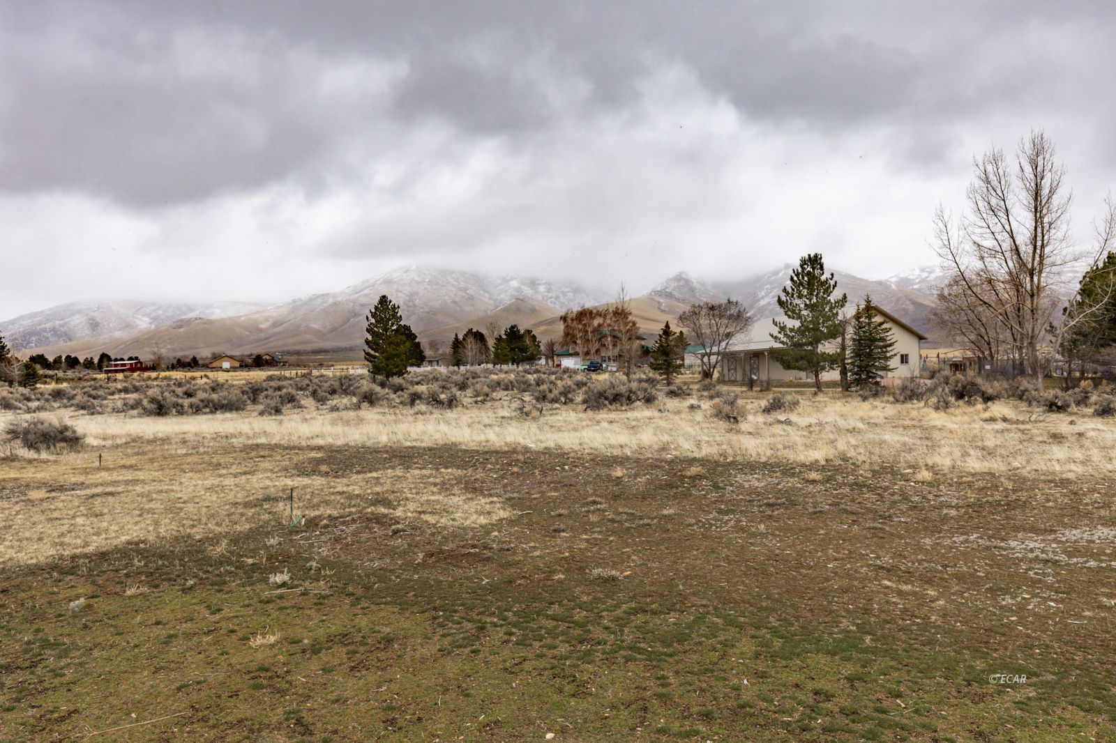 878 Palace Parkway Property Photo 24