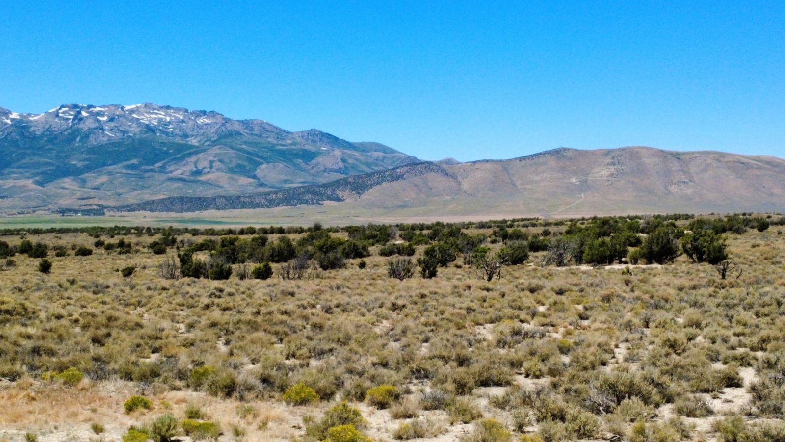 Bbk 634 Acre Parcel Property Photo 28