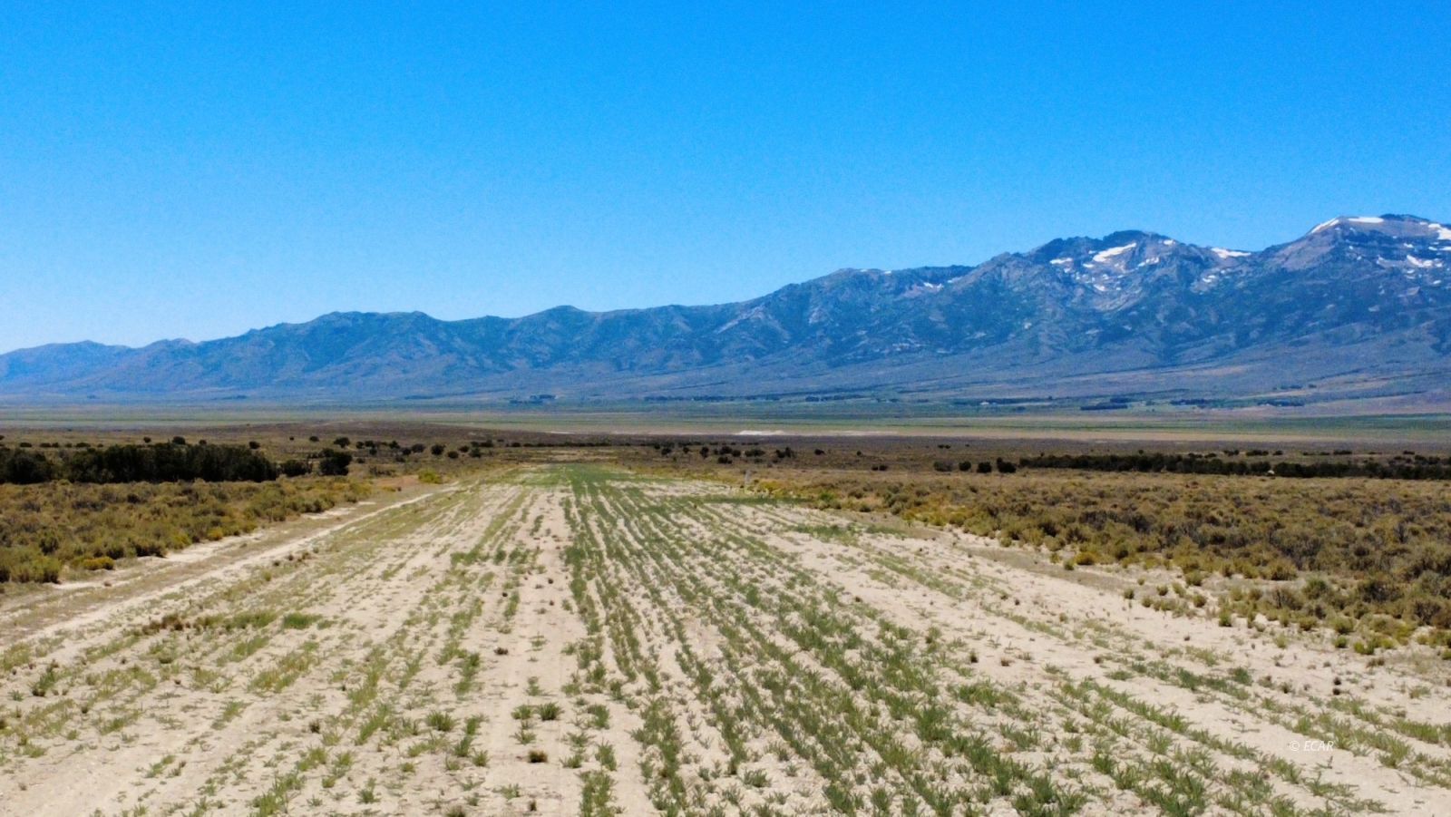 Bbk 634 Acre Parcel Property Photo 42