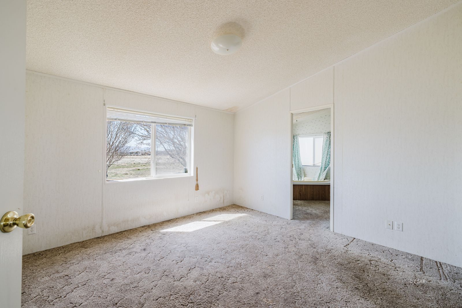 2844 Hummingbird Street Property Photo 33