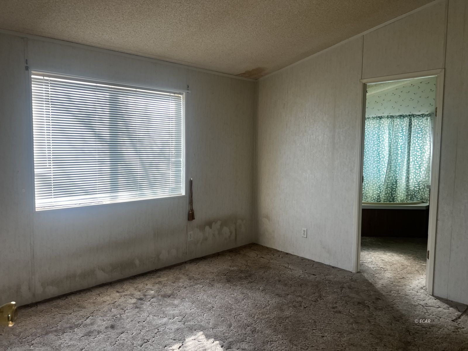 2844 Hummingbird Street Property Photo 44