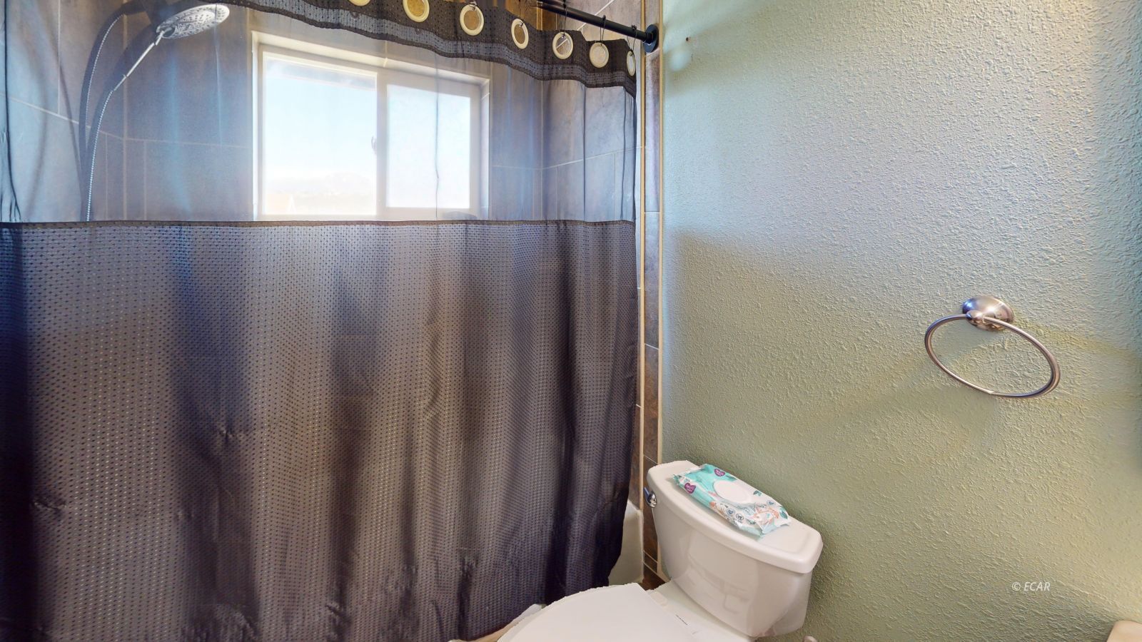 376 Valley Bend Drive Property Photo 7