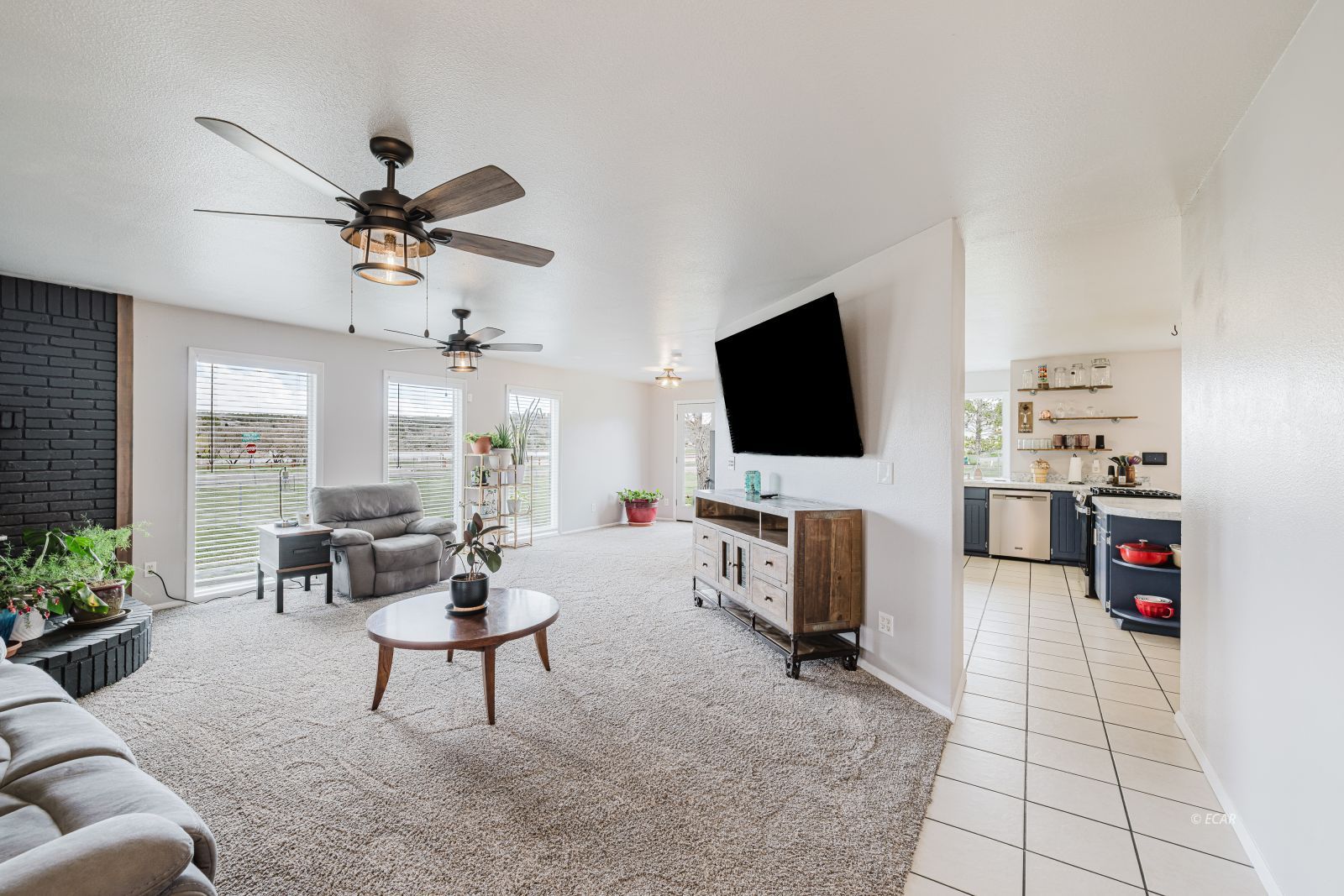 163 Spring Creek Court Property Photo 22