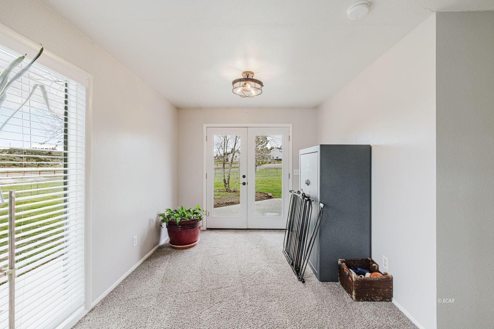 163 Spring Creek Court Property Photo 25
