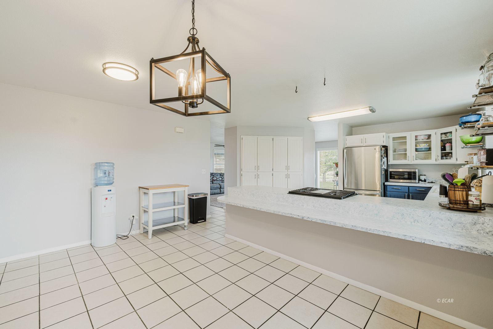 163 Spring Creek Court Property Photo 29