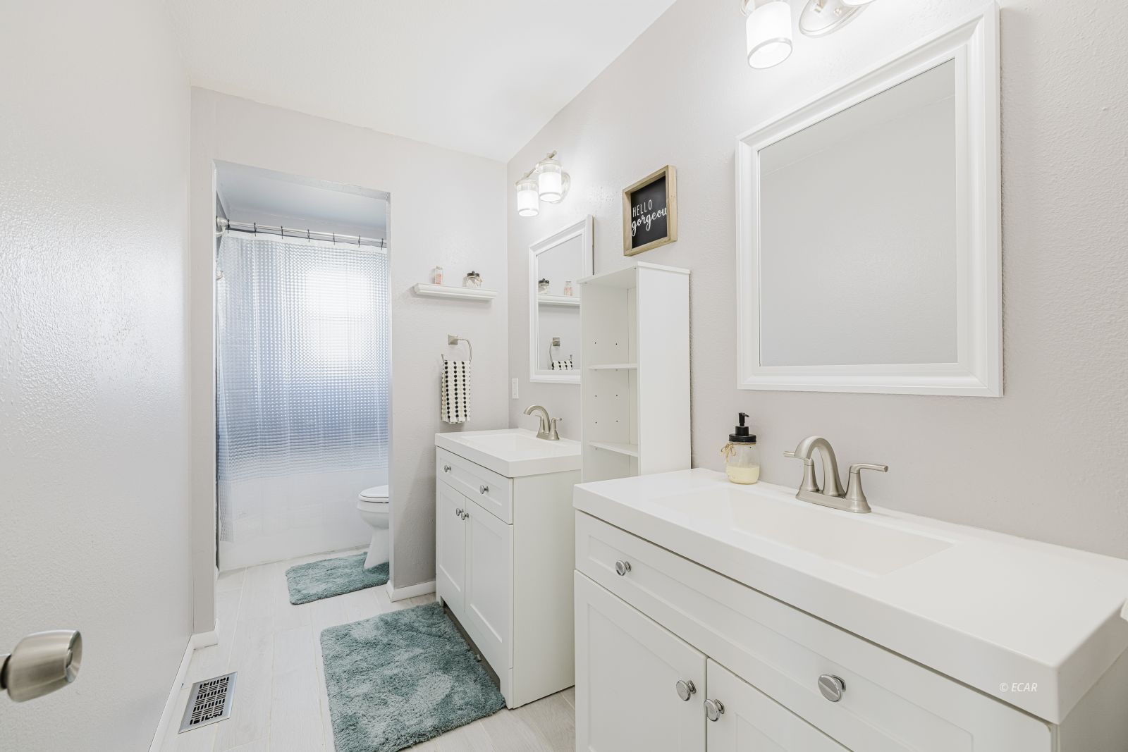 163 Spring Creek Court Property Photo 45