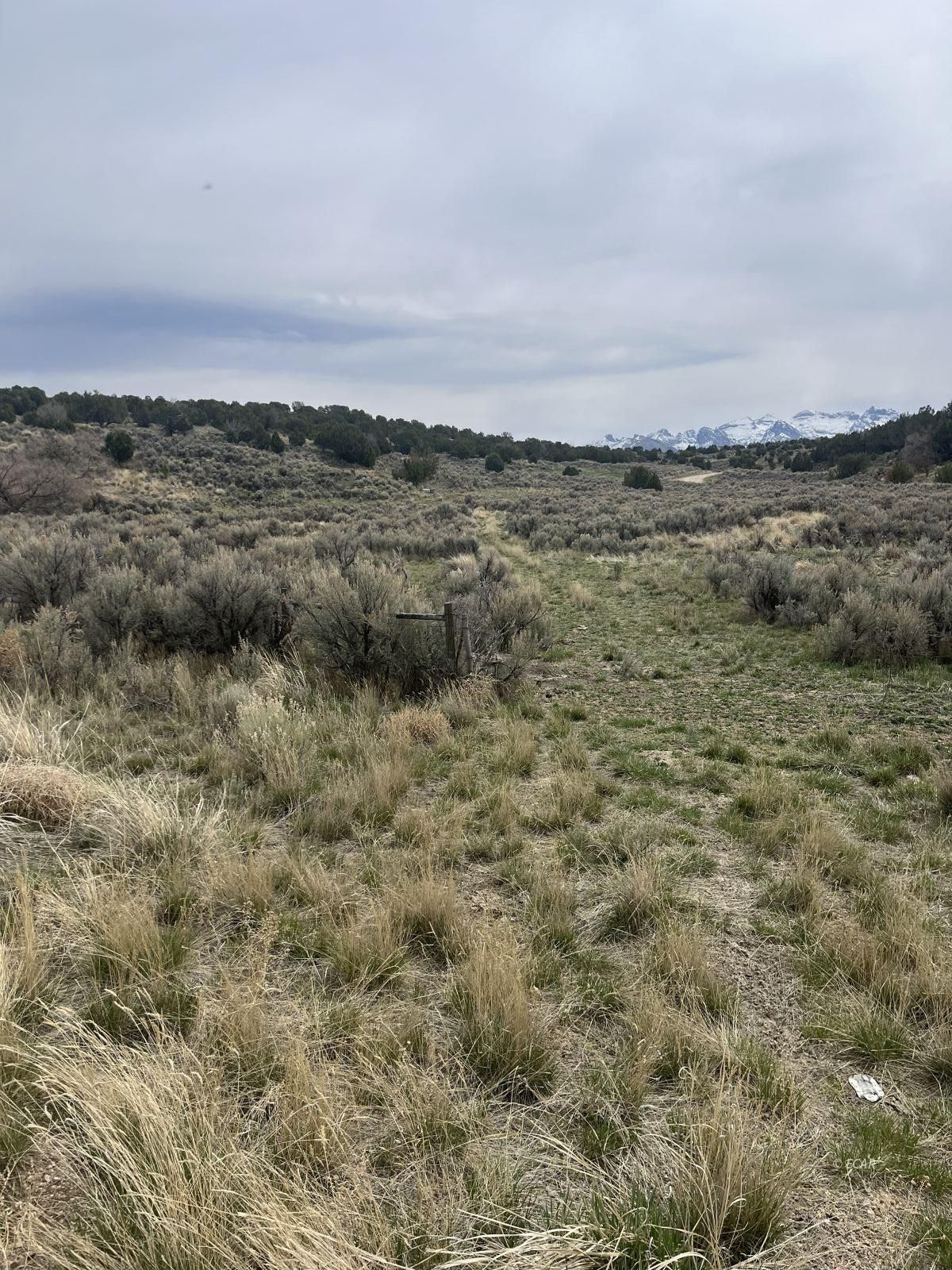 Lower Lamoille/hog Tommy Road Property Photo 2