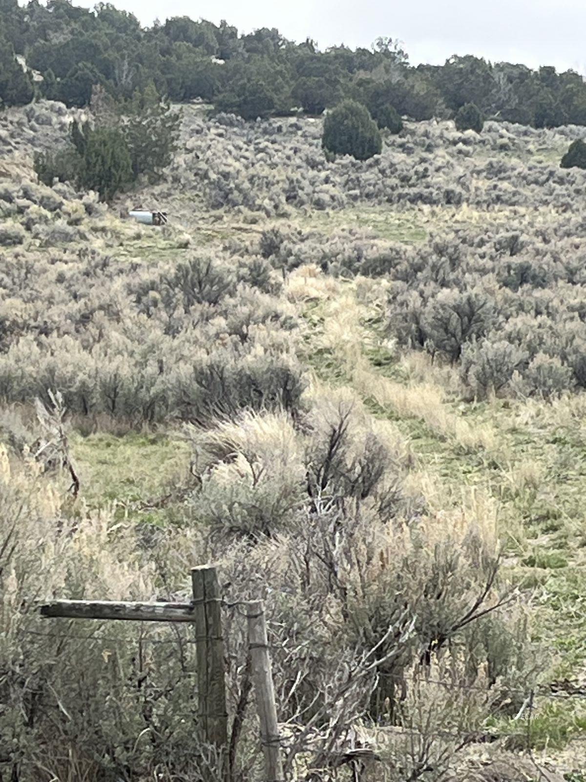 Lower Lamoille/hog Tommy Road Property Photo 3