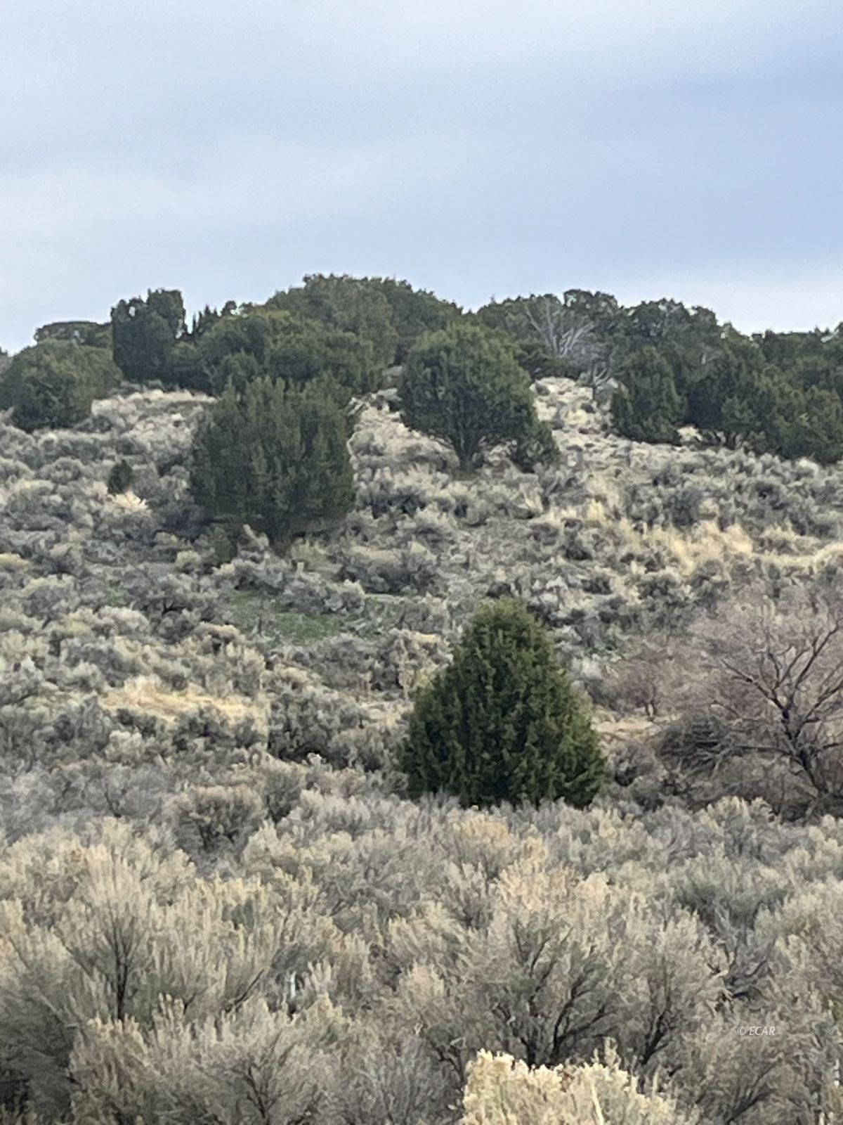 Lower Lamoille/hog Tommy Road Property Photo 4