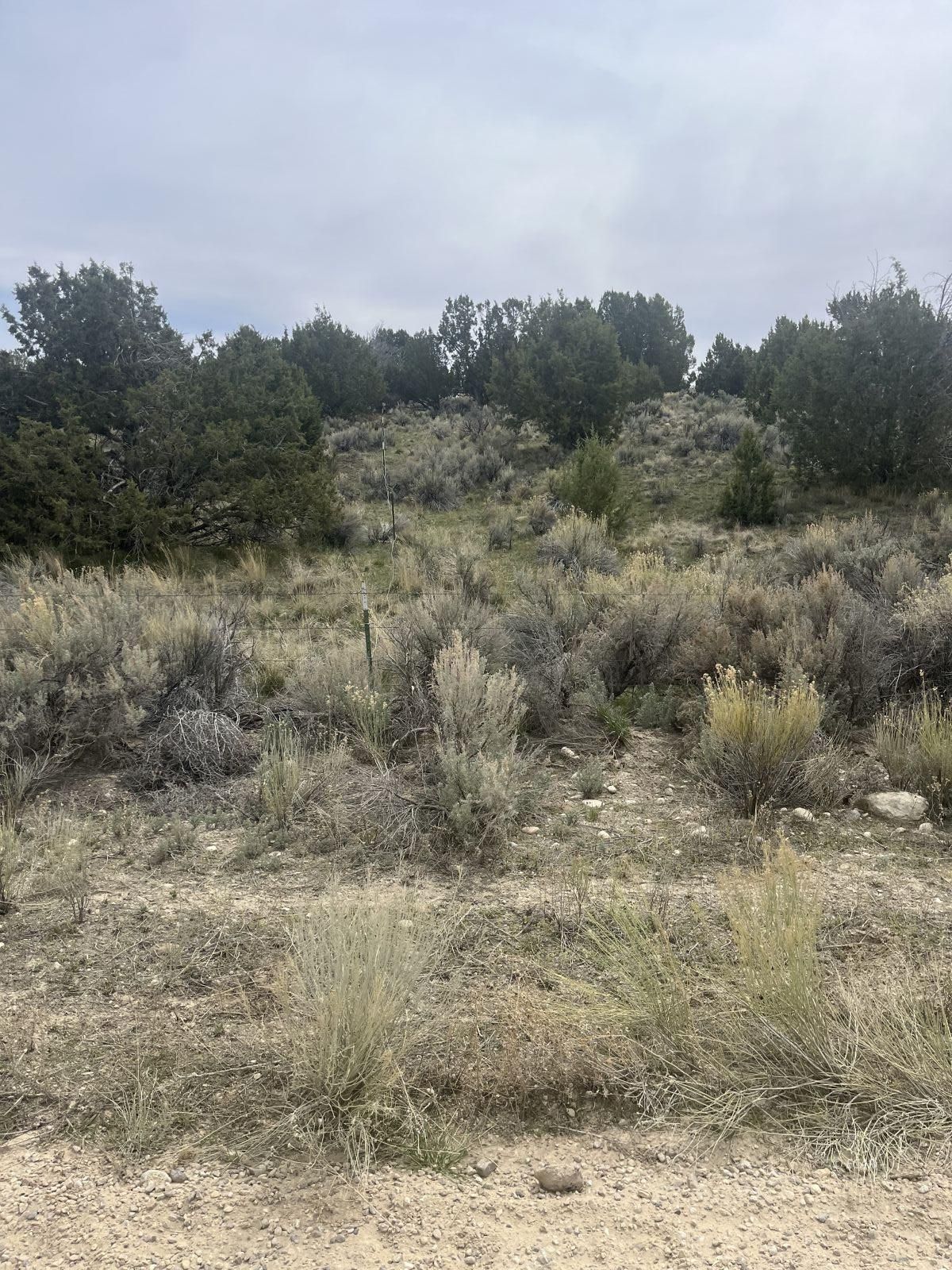 Lower Lamoille/hog Tommy Road Property Photo 5