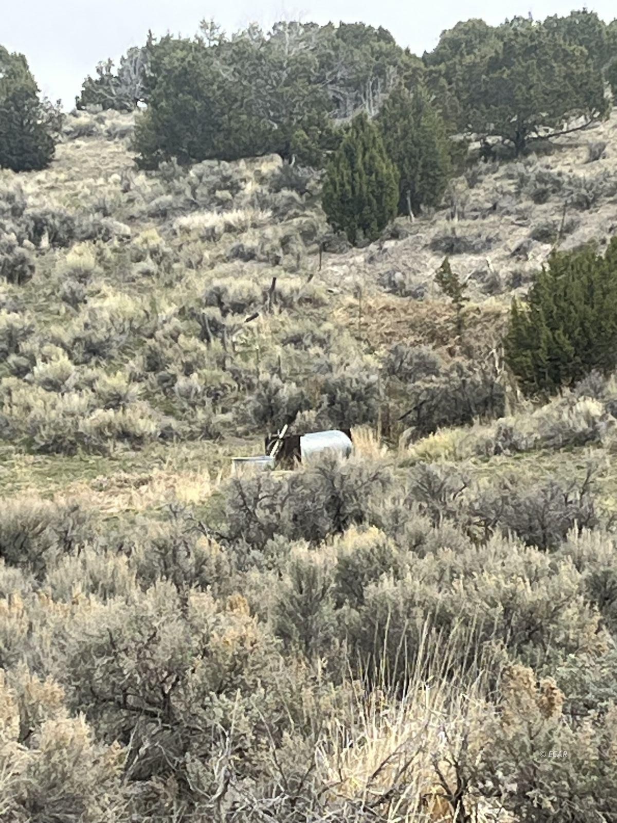Lower Lamoille/hog Tommy Road Property Photo 6