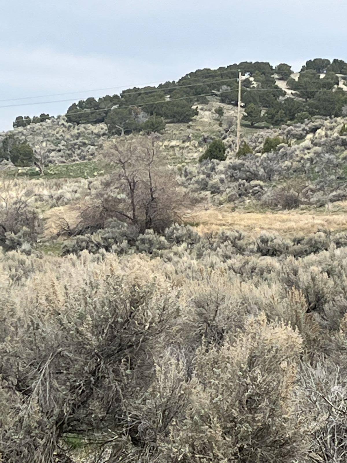 Lower Lamoille/hog Tommy Road Property Photo 7