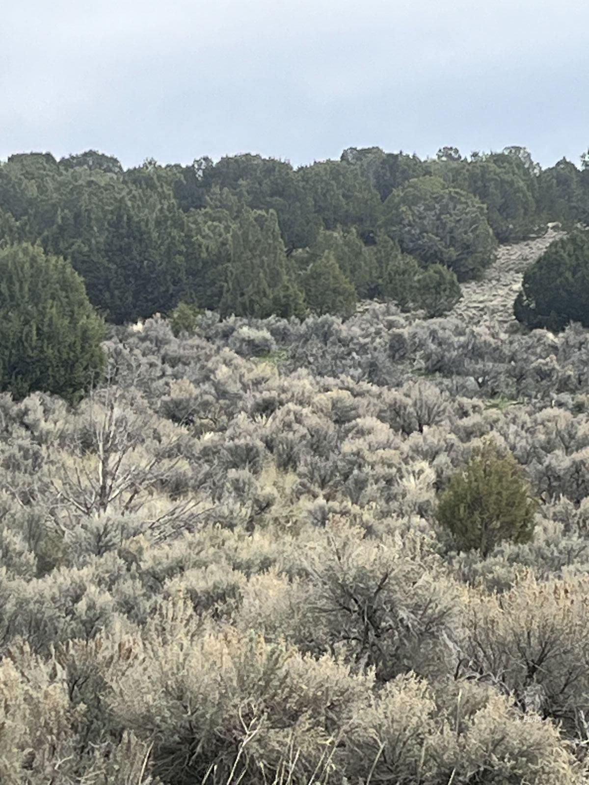 Lower Lamoille/hog Tommy Road Property Photo 8