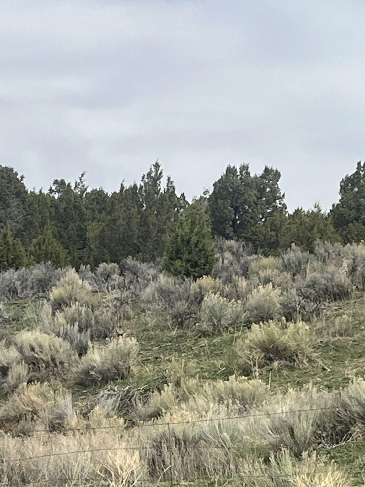 Lower Lamoille/hog Tommy Road Property Photo 9
