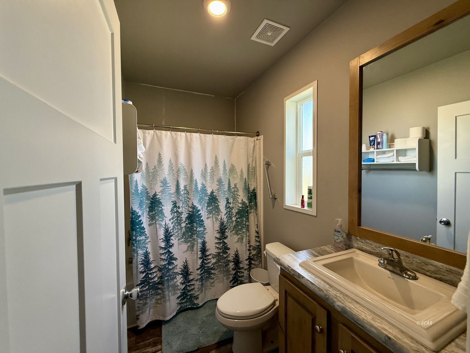 713 Hogan Street Property Photo 19