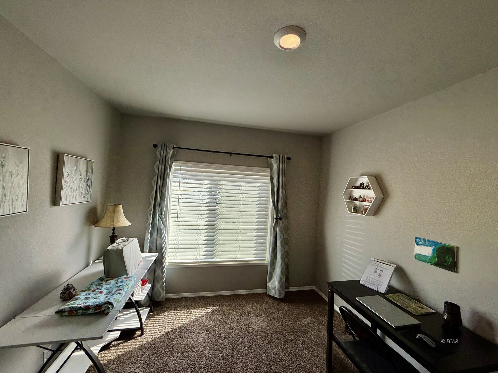 713 Hogan Street Property Photo 20