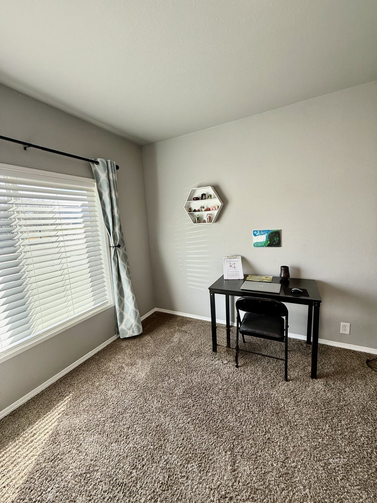 713 Hogan Street Property Photo 21