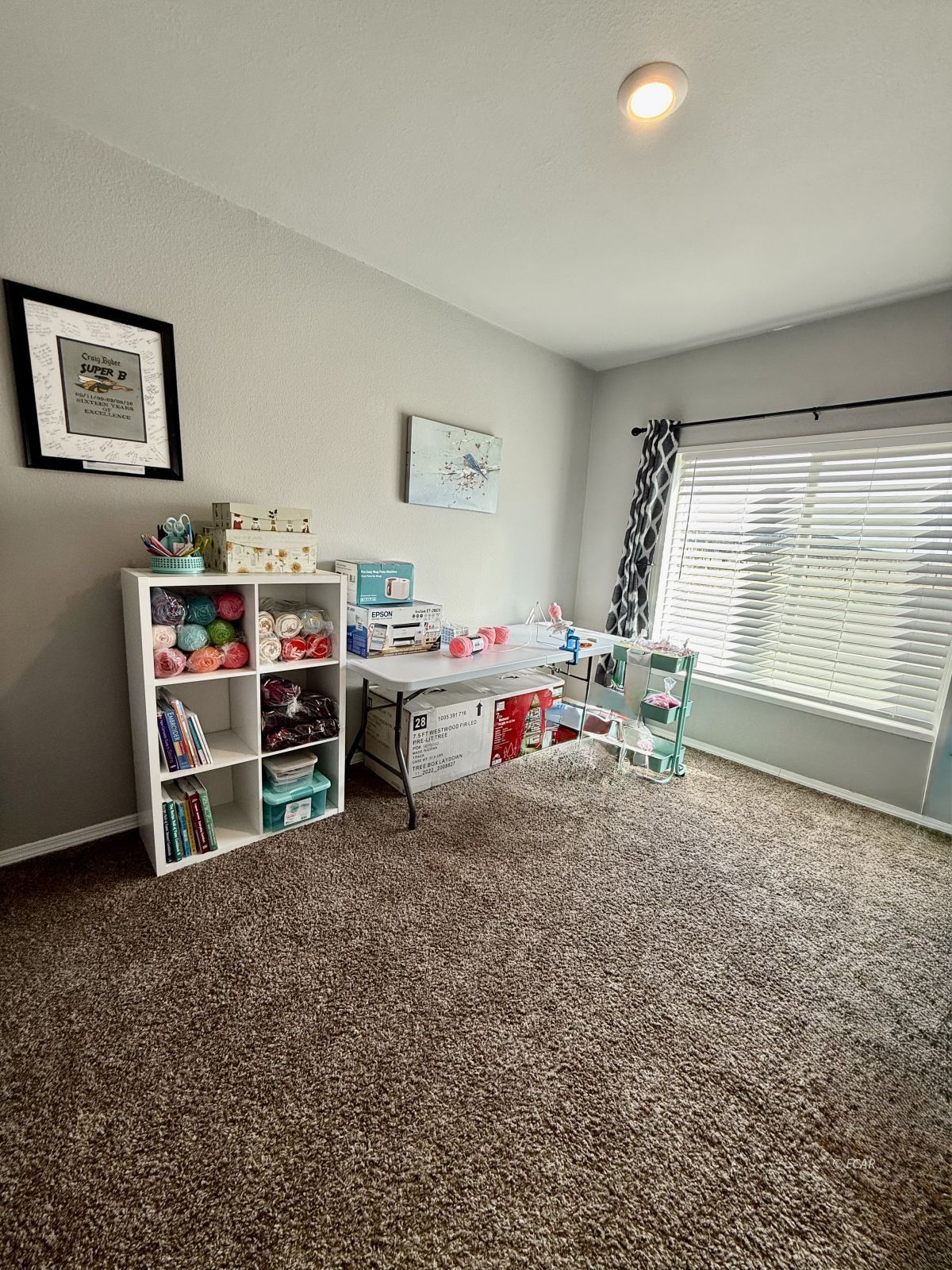713 Hogan Street Property Photo 23