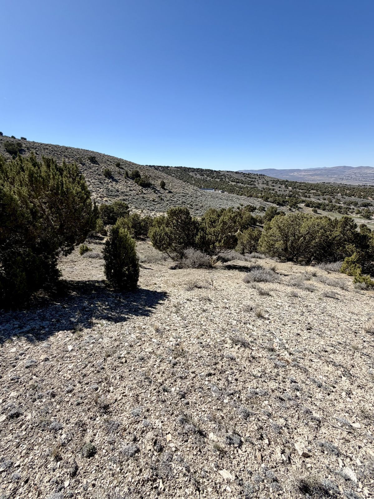 Andy's Way Property Photo 3