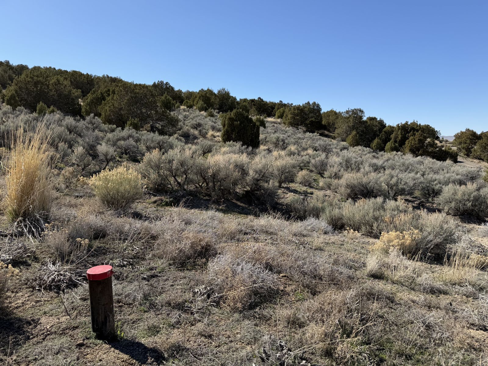 Andy's Way Property Photo 4