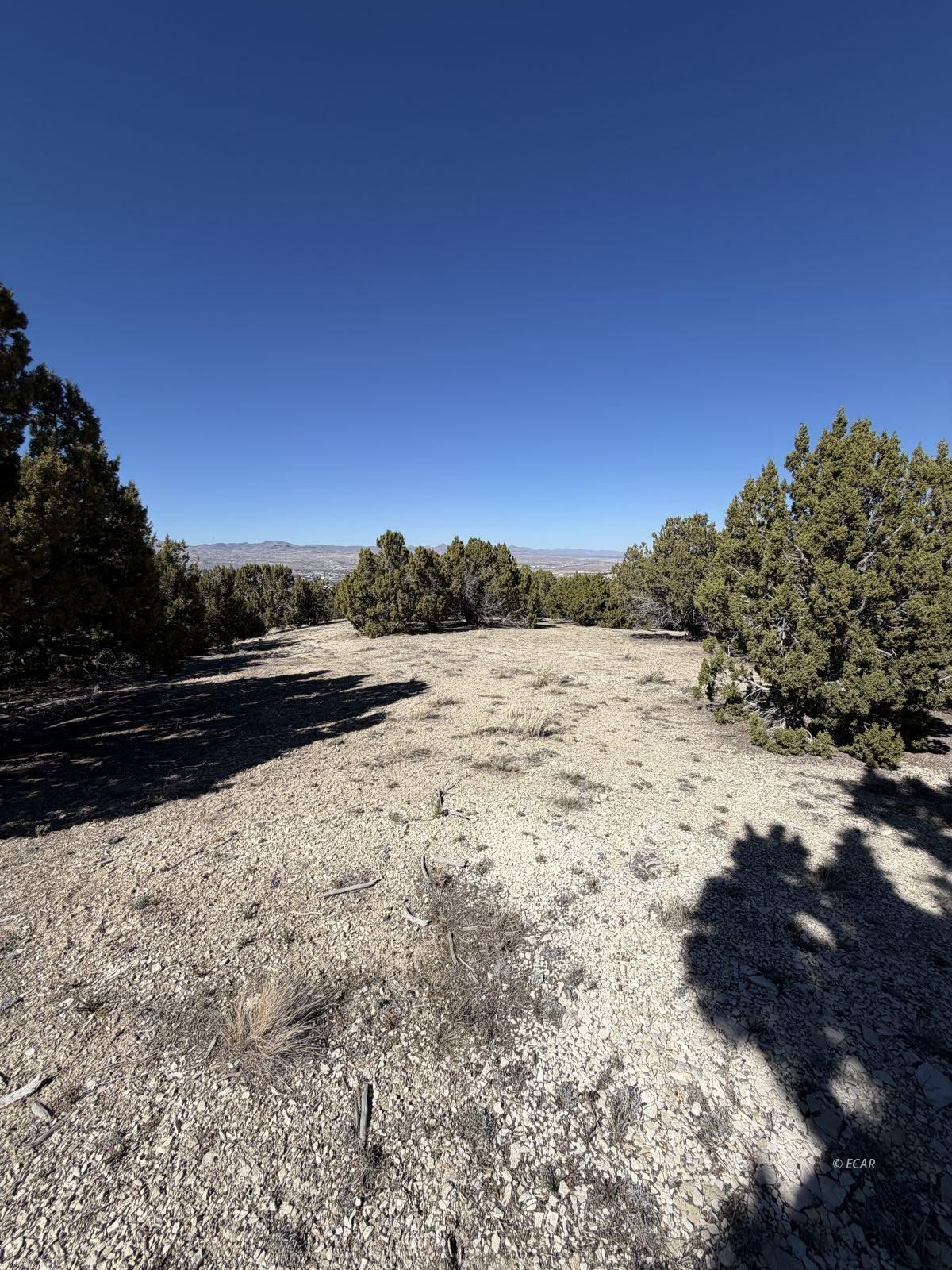 Andy's Way Property Photo 6
