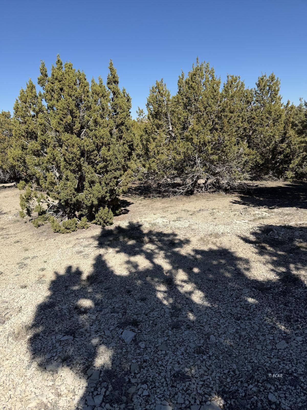 Andy's Way Property Photo 12