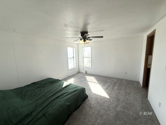 439 Jasper Drive Property Photo 19