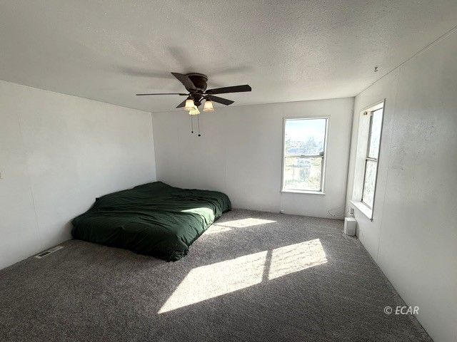 439 Jasper Drive Property Photo 20