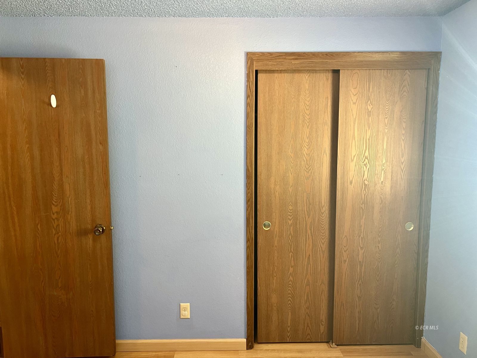 778 Lamont Drive Property Photo 21