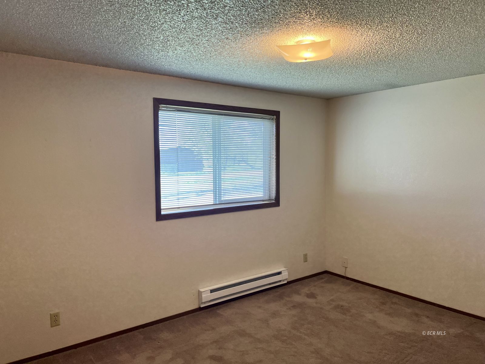 778 Lamont Drive Property Photo 24