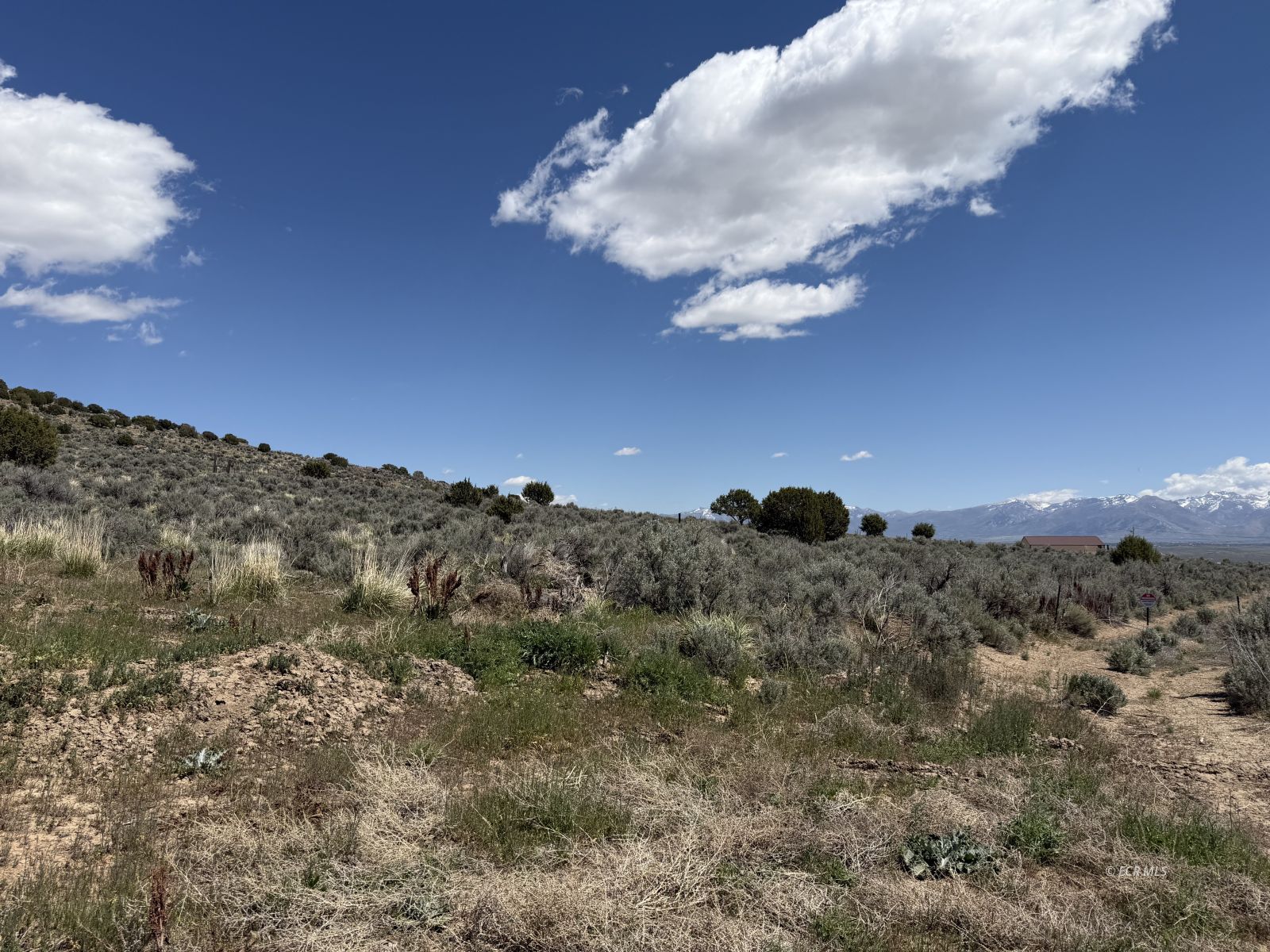 013-030-00 Jarbidge Avenue Property Photo 12