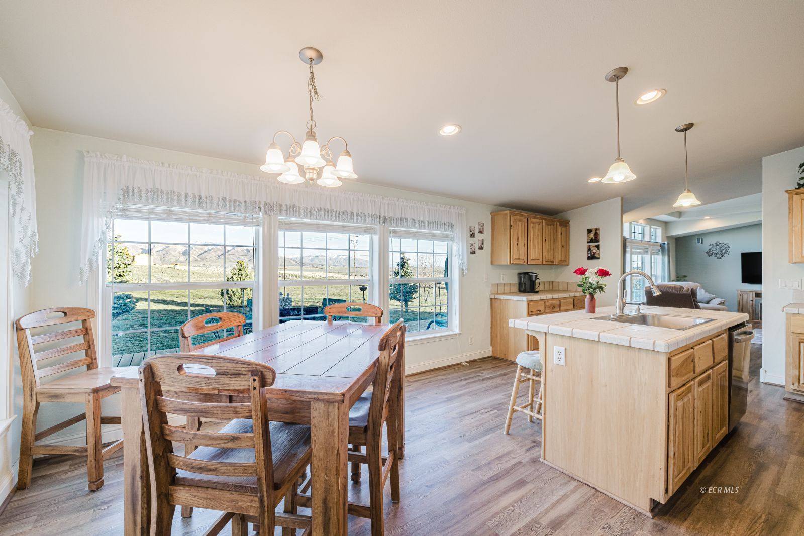 245 Dove Creek Court Property Photo 14