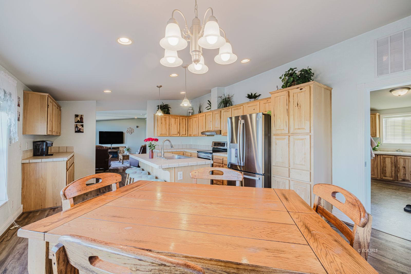 245 Dove Creek Court Property Photo 16