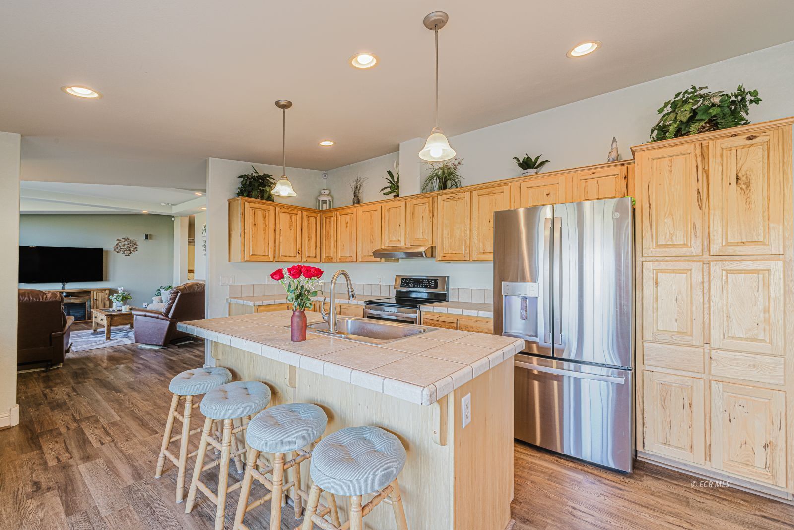 245 Dove Creek Court Property Photo 18