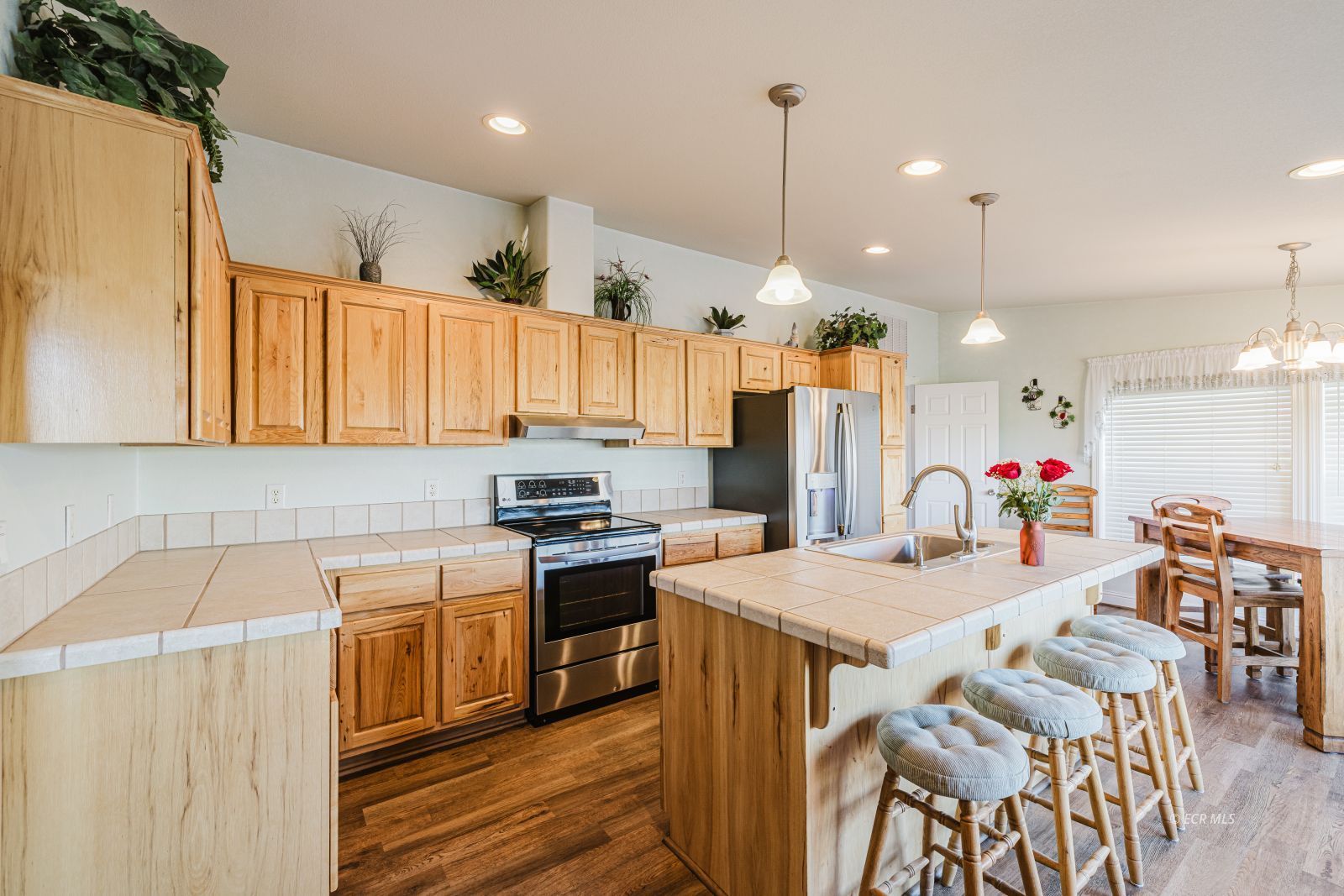 245 Dove Creek Court Property Photo 20