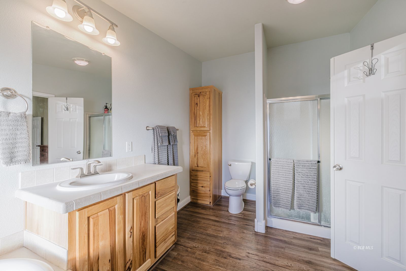 245 Dove Creek Court Property Photo 29