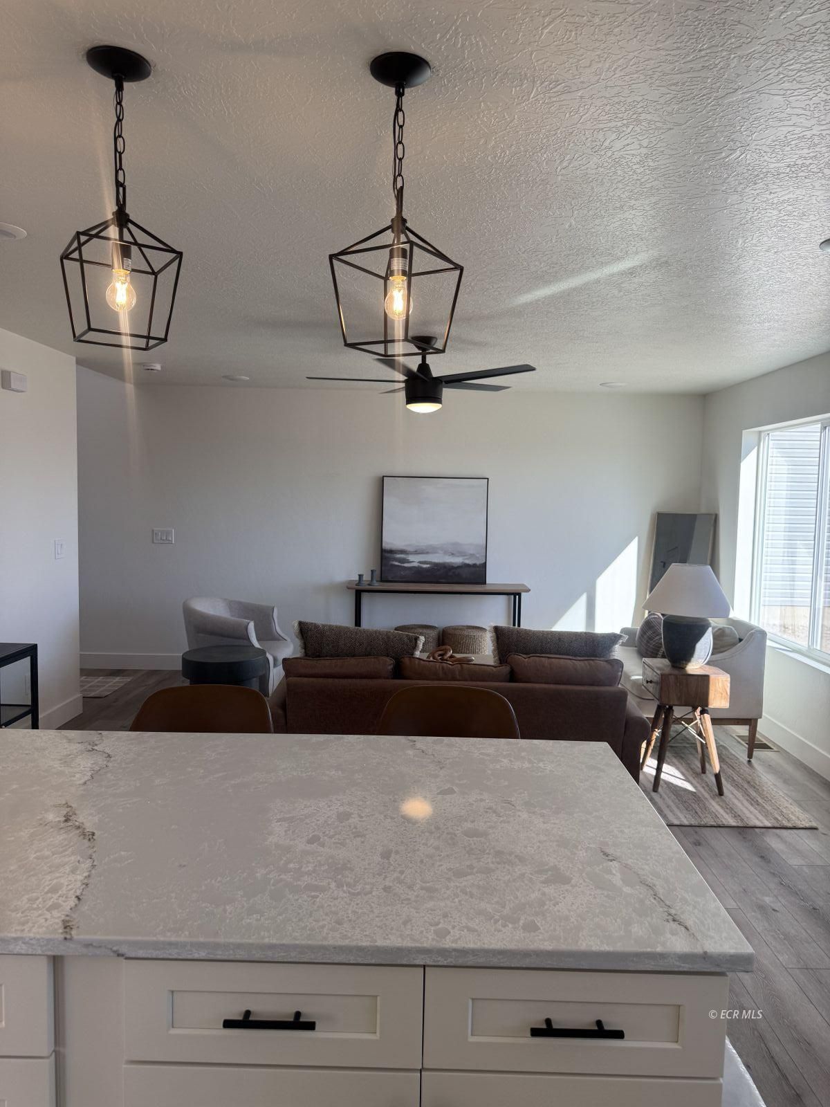 2918 Aria Way Property Photo 19