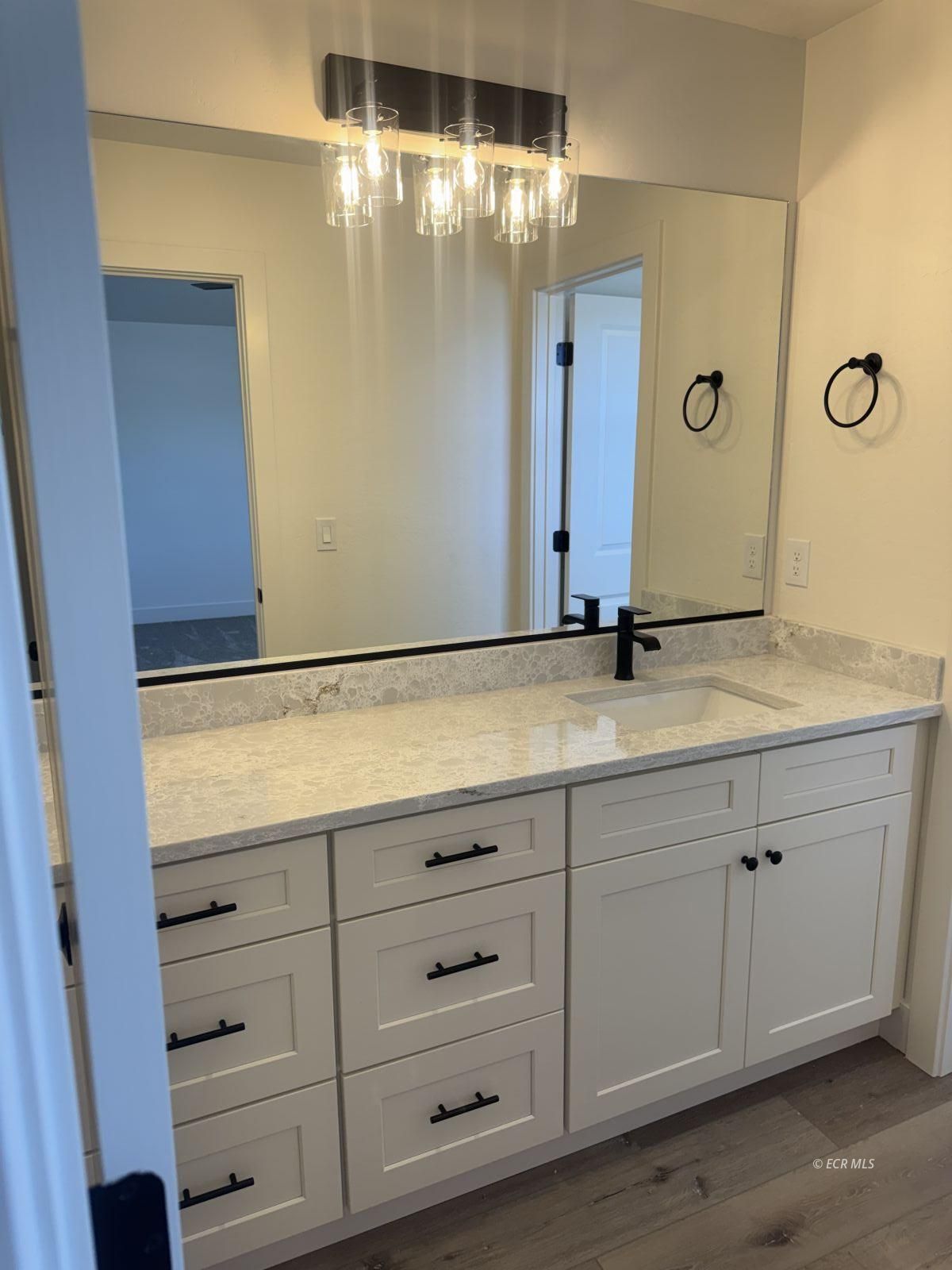2918 Aria Way Property Photo 33