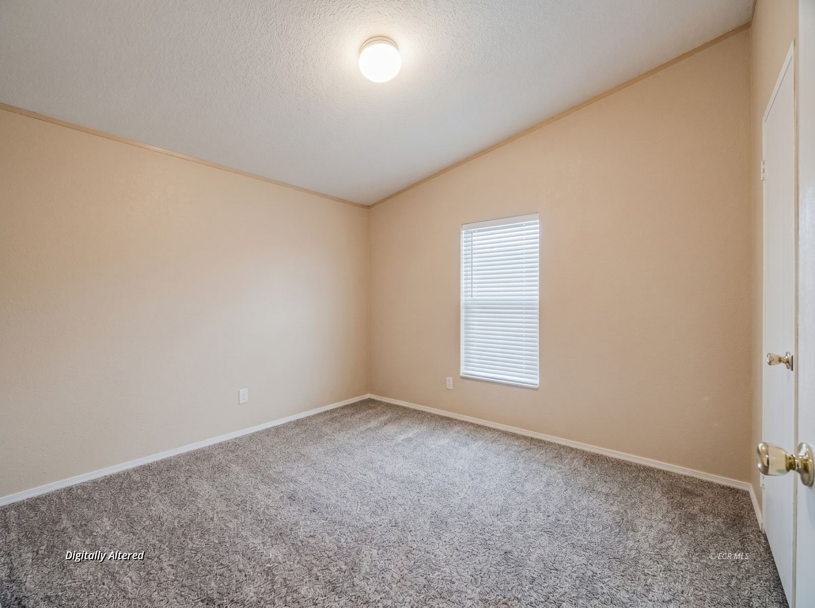4240 Diana Lane Property Photo 22