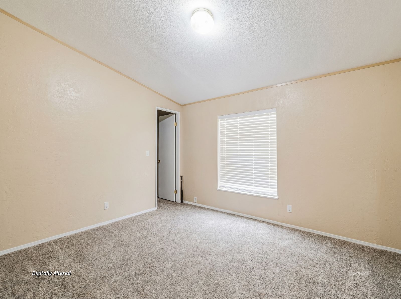 4240 Diana Lane Property Photo 24
