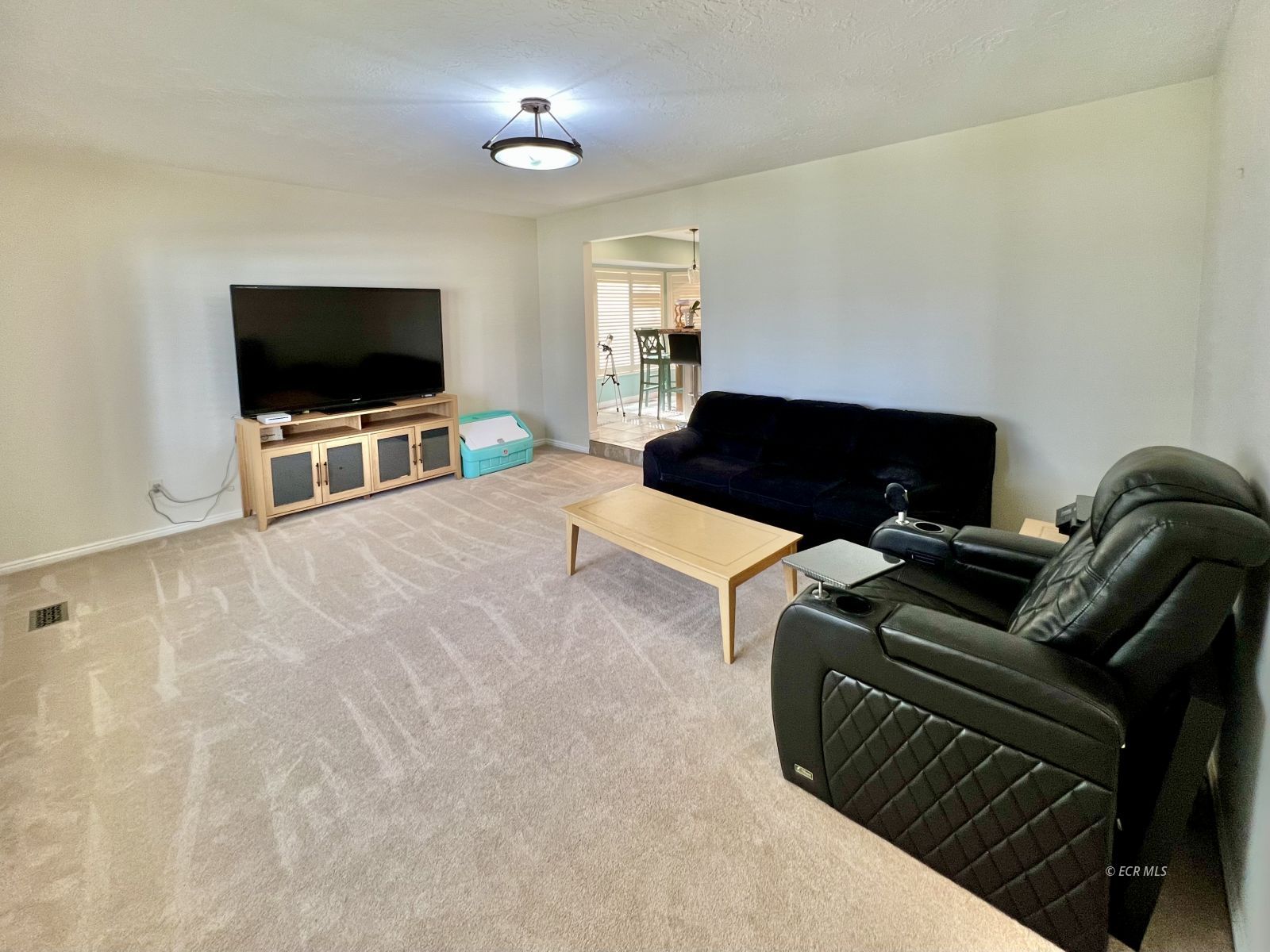 1927 Laxalt Way Property Photo 12