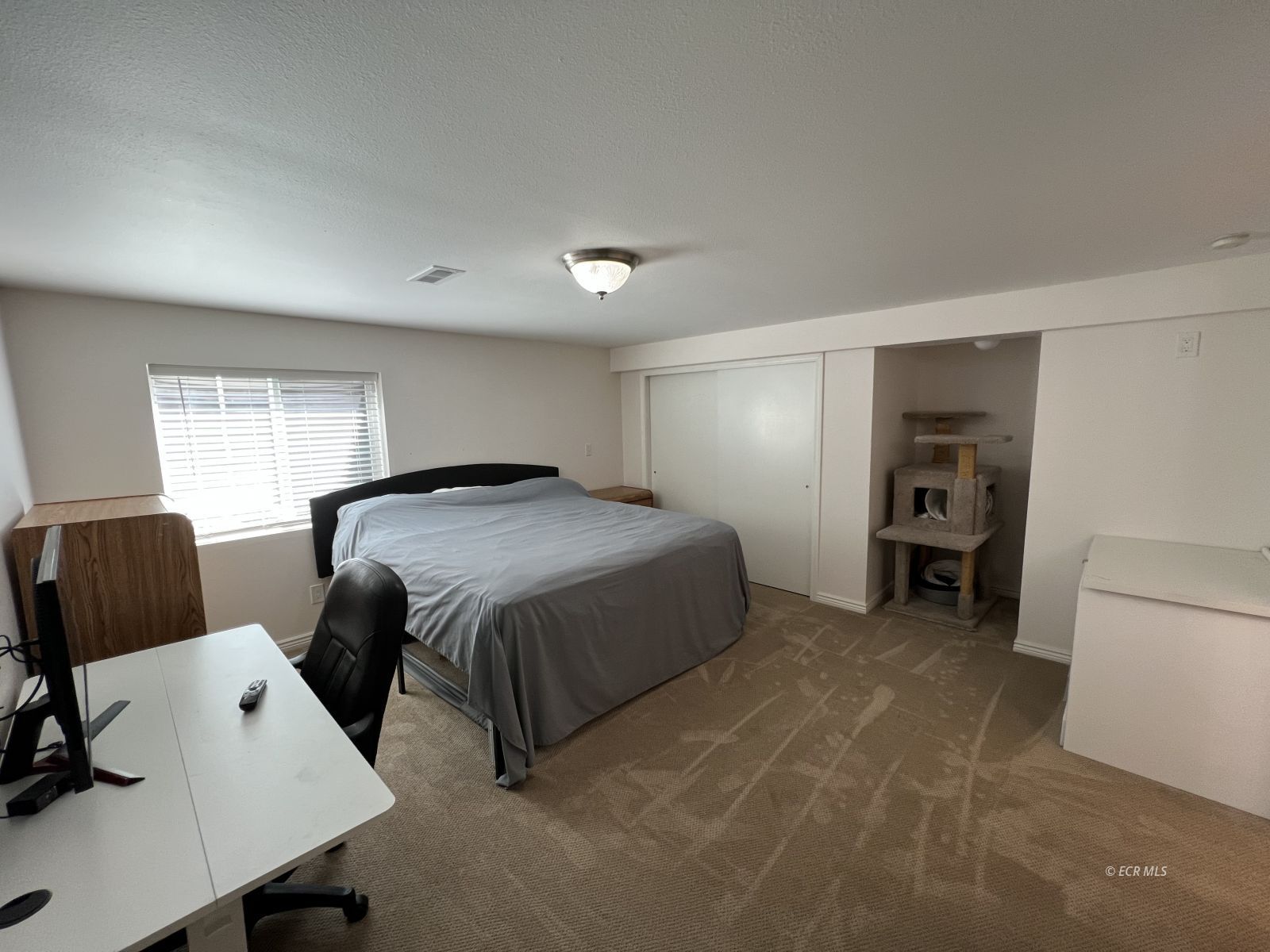 1927 Laxalt Way Property Photo 40