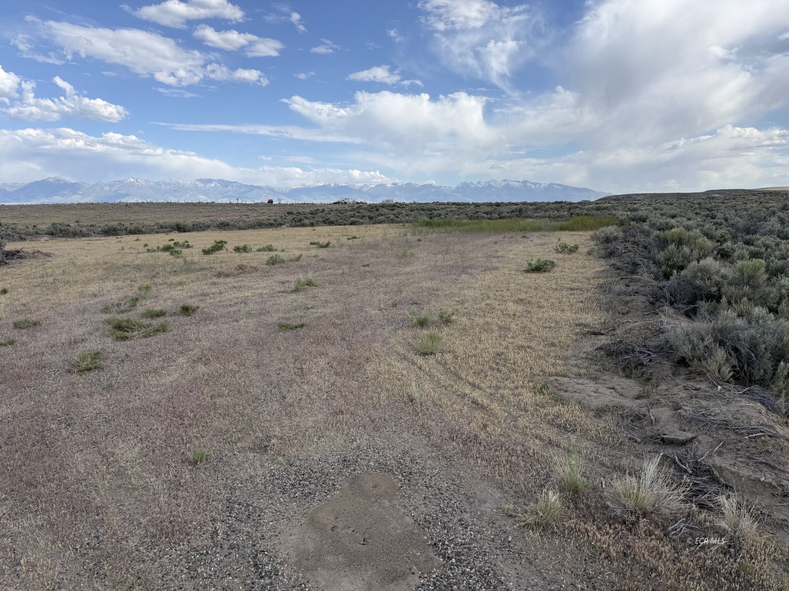 TBD Jacinto Drive
