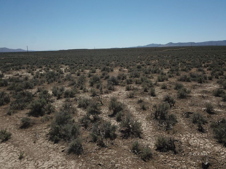 4.83 Acres Road Property Photo 6