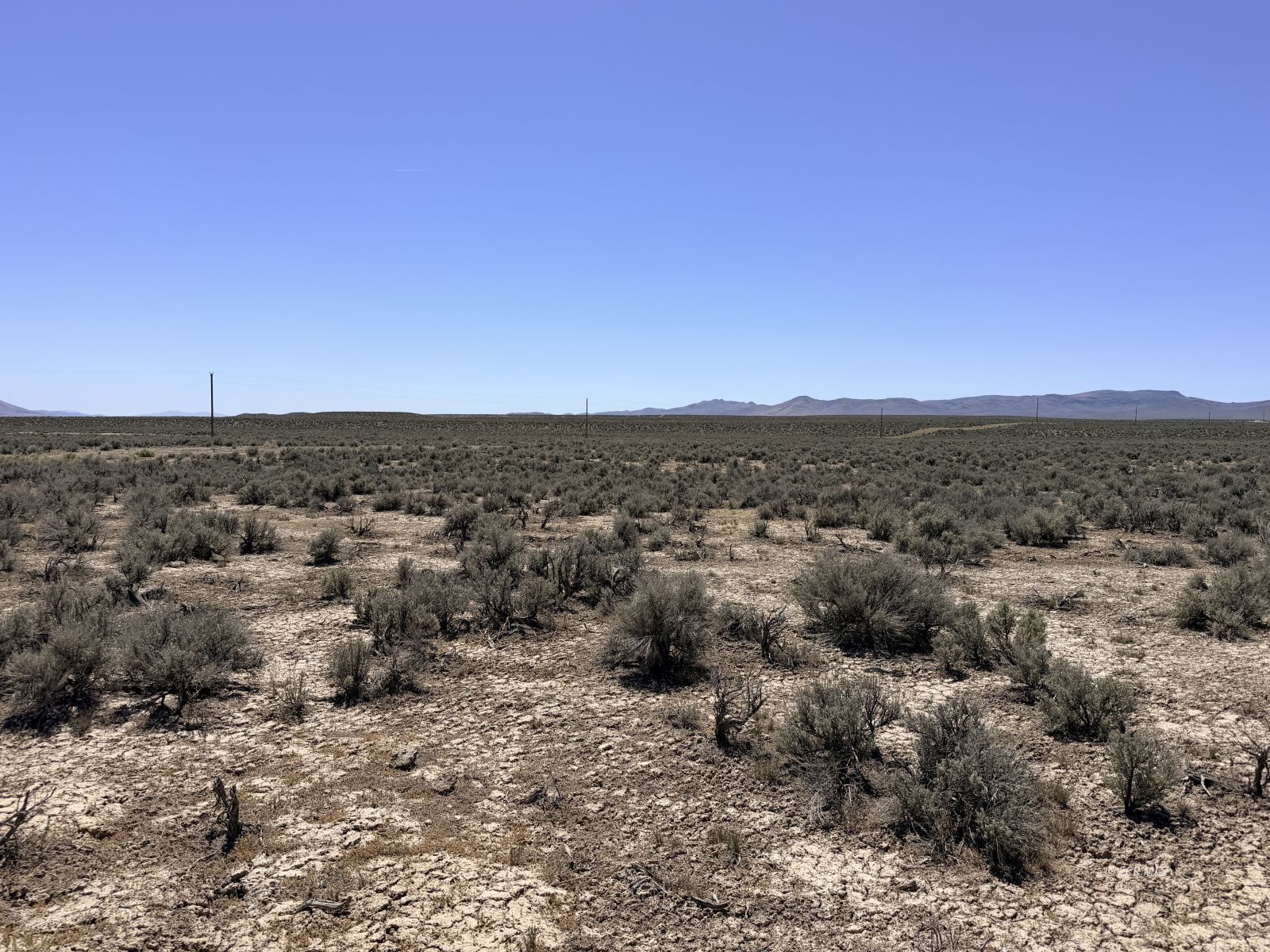 4.83 Acres Road Property Photo 18